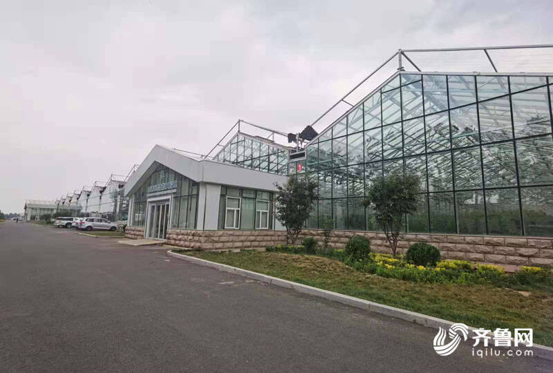 高端智庫(kù)看山東 如何豐富“壽光模式”內(nèi)涵？專家支招 結(jié)合新發(fā)展機(jī)遇，用數(shù)字經(jīng)濟(jì)賦能產(chǎn)業(yè)，推廣新材料技術(shù)