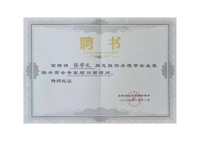 內(nèi)資公司注冊與分公司注冊服務指南